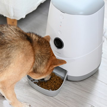 Управление через приложение