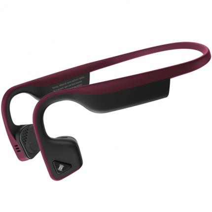 Trekz Titanium Canyon Red