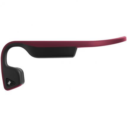 Trekz Titanium Canyon Red